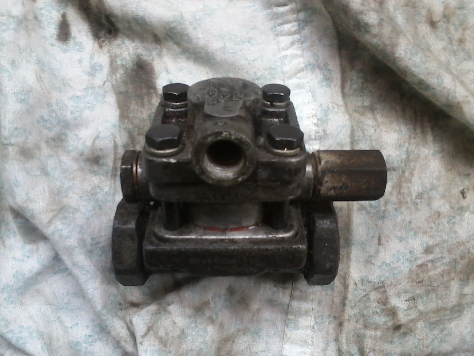 IMG01315.jpg