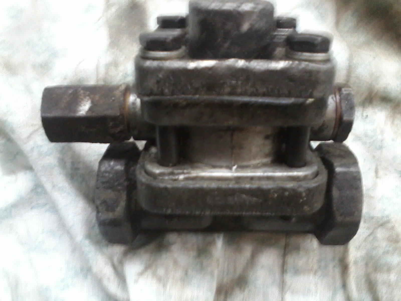 IMG01316.jpg