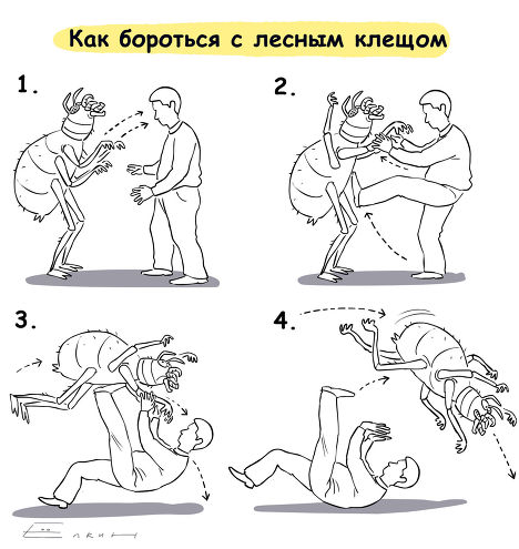 как бороться с клещём .jpg