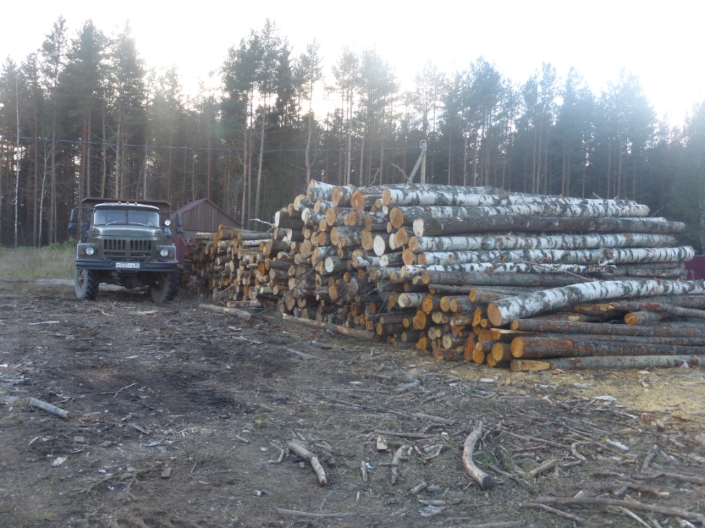 Лесовоз дров купить. ЗИЛ 131 лесовоз под дрова. ЗИЛ 131 С дровами. Лесовоз ГАЗ 131 С дровами. Лесовоз дровяной лес.
