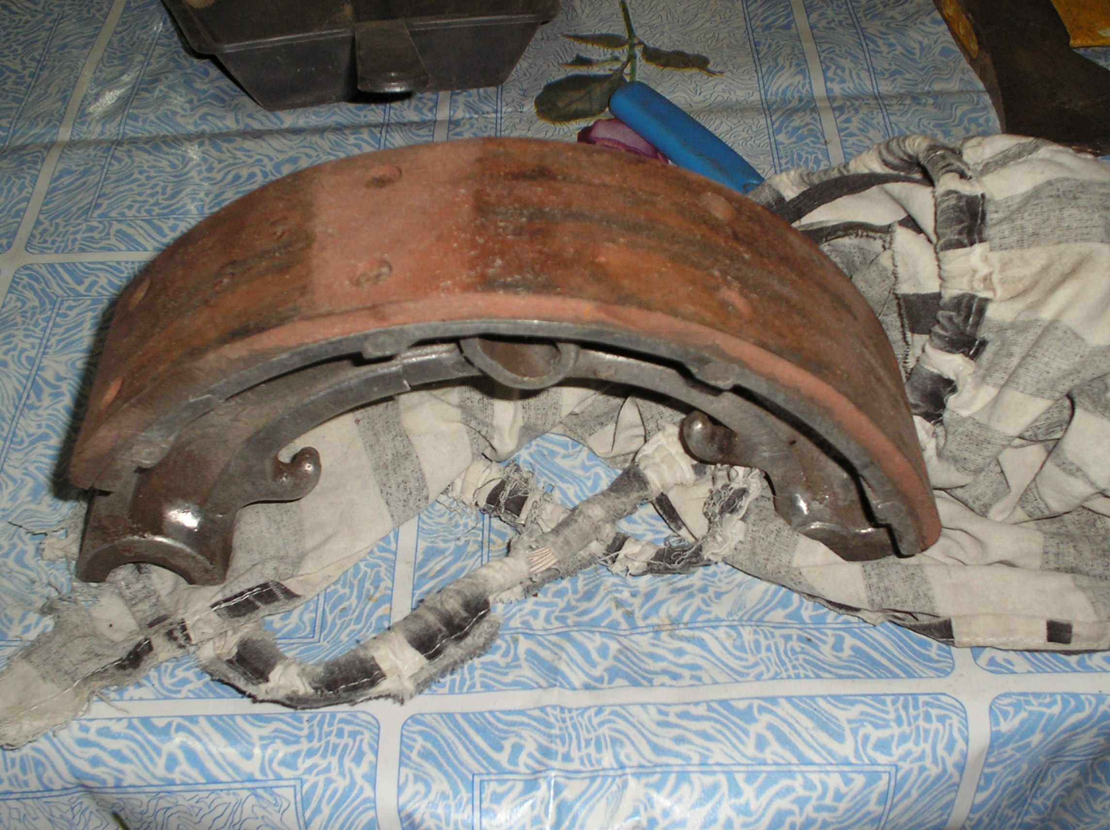 P9180059.JPG